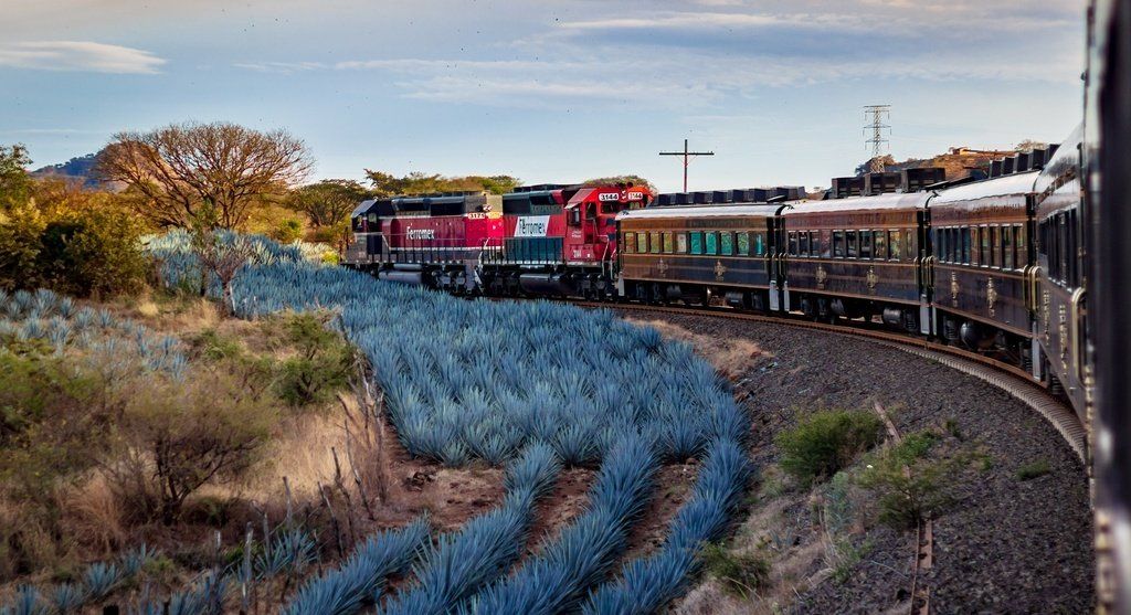 Tren A Tequila Jose Cuervo Express Experiencia Amanecer